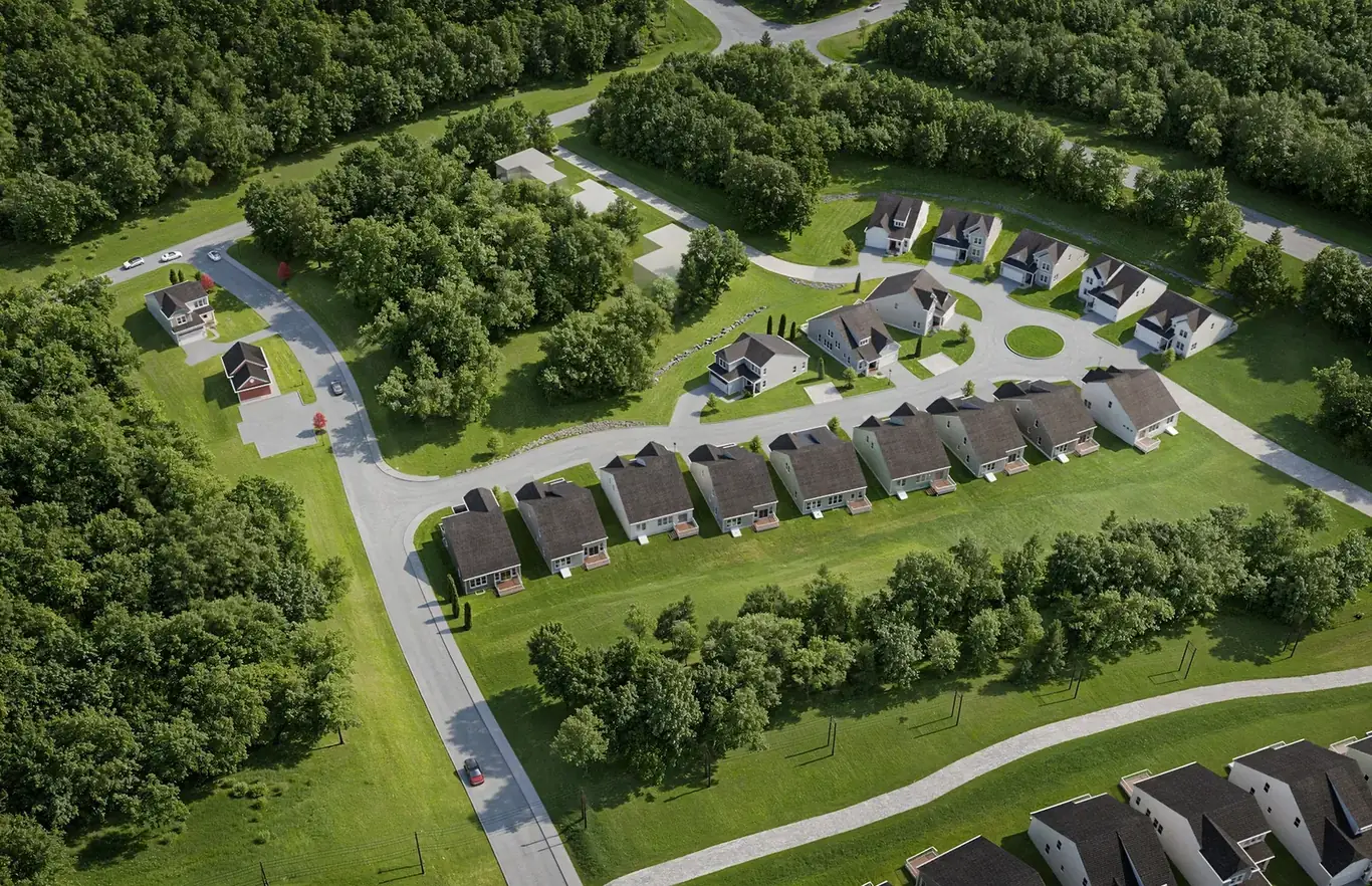 School campus 3D rendering university
